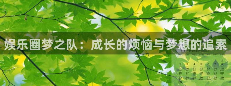jjb竞技宝(中国)：娱乐圈梦之队：成长的烦恼与梦想的追索