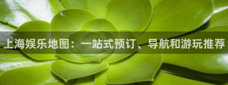 jjb竞技宝官网：上海娱乐地图：一站式预订、导航和游玩推荐