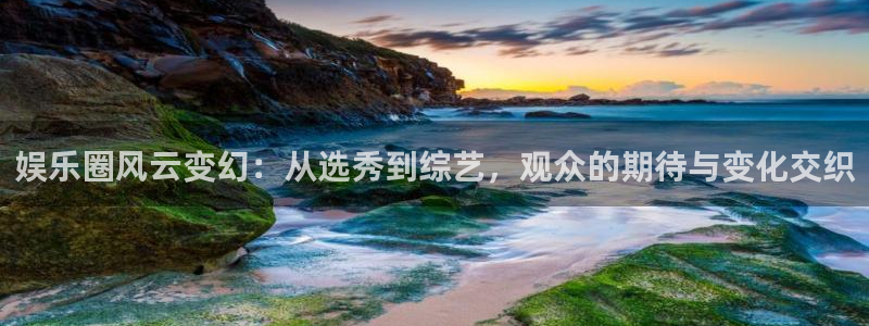 jjb竞技宝app网站：娱乐圈风云变幻：从选秀到综艺，观众的期待与变化交织
