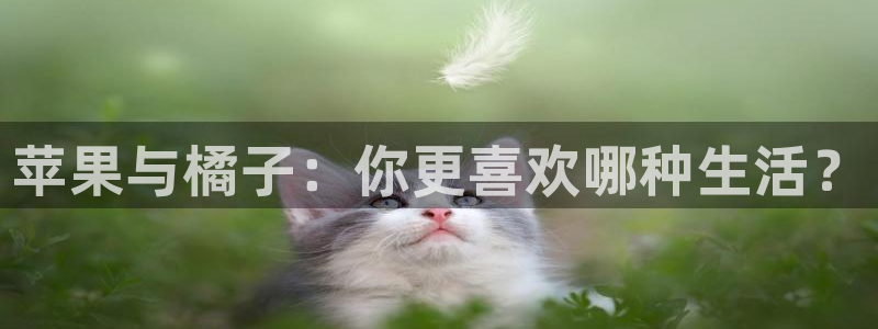 jjb竞技宝(中国)：苹果与橘子：你更喜欢哪种生活？