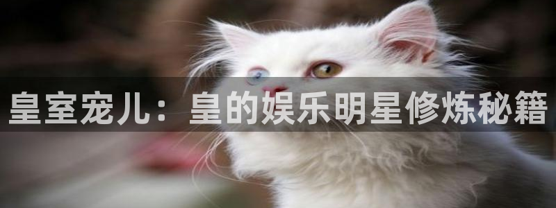 jjb竞技宝：皇室宠儿：皇的娱乐明星修炼秘籍